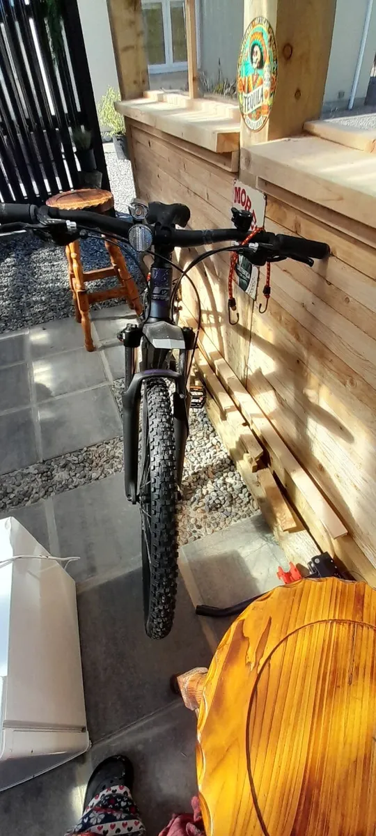 Mountain Bike - Image 2