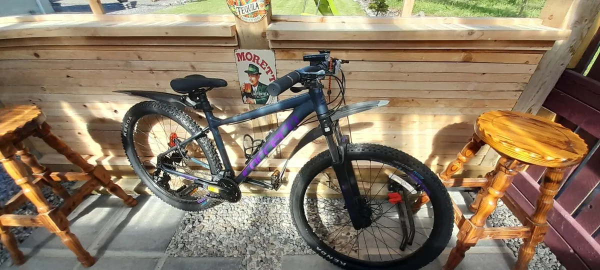 Mountain Bike - Image 4