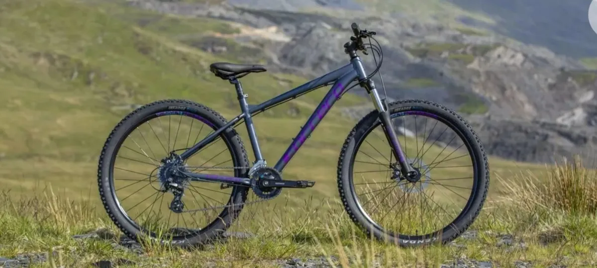Mountain Bike - Image 3