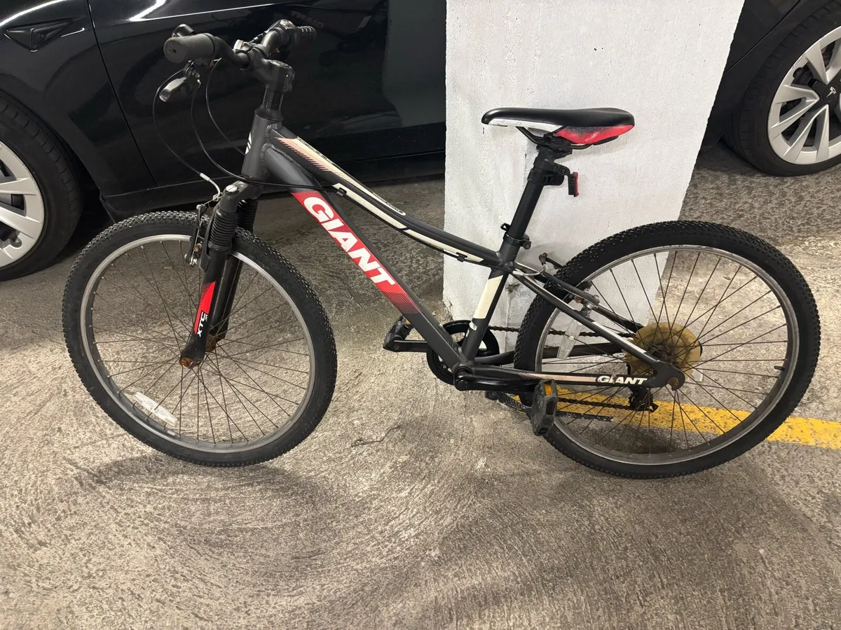 Giant Revel Mountain Bike - Image 1