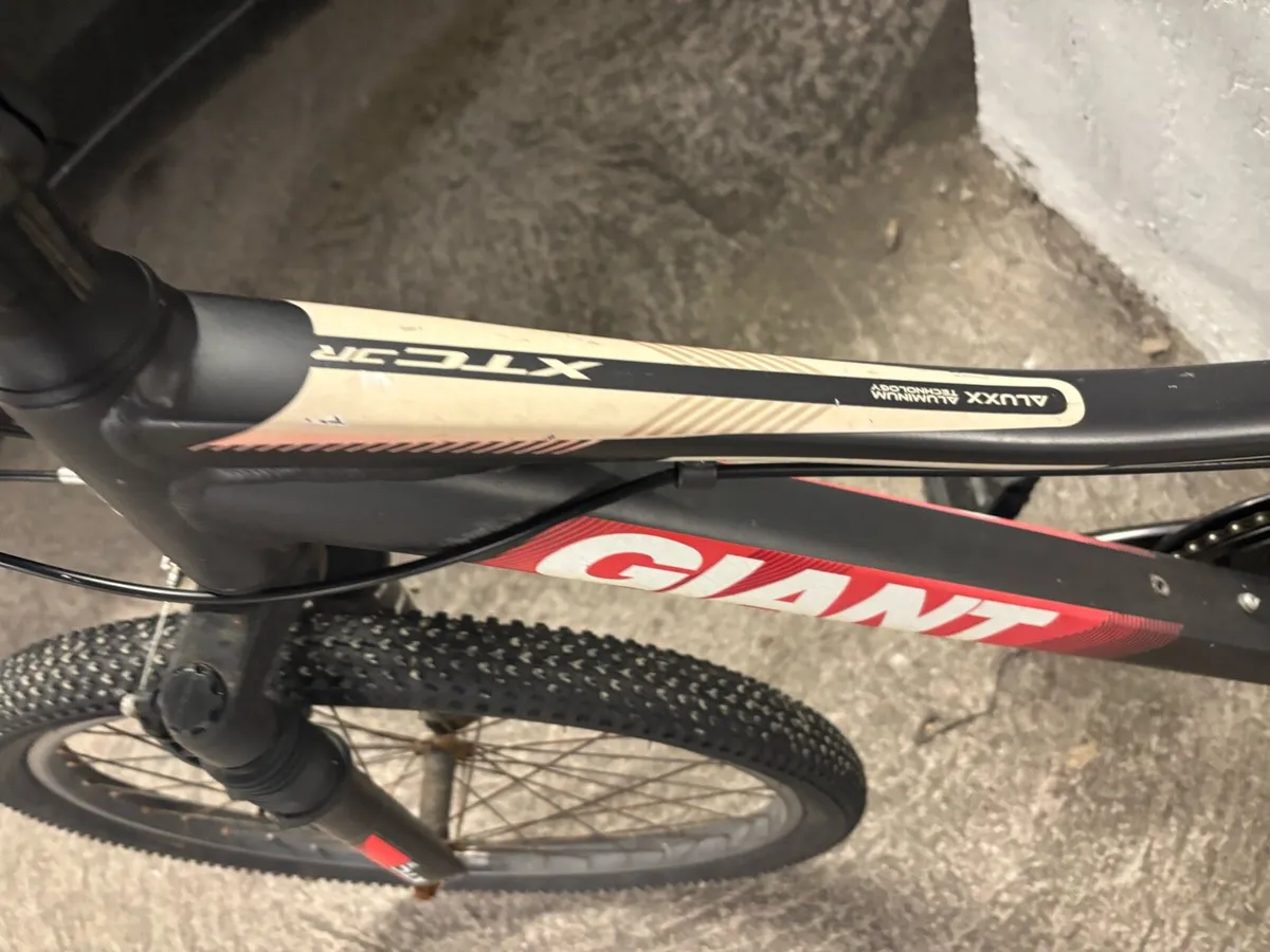 Giant Revel Mountain Bike - Image 3