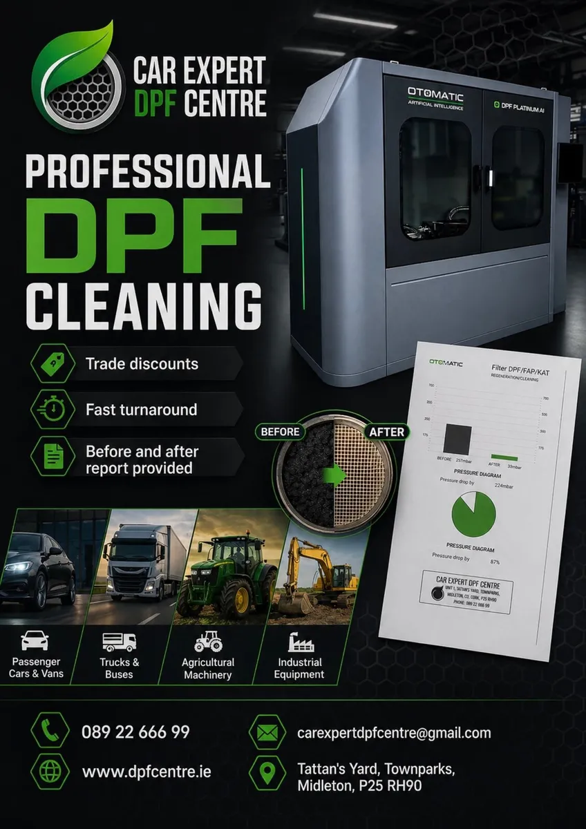Professional DPF cleaning - Image 1