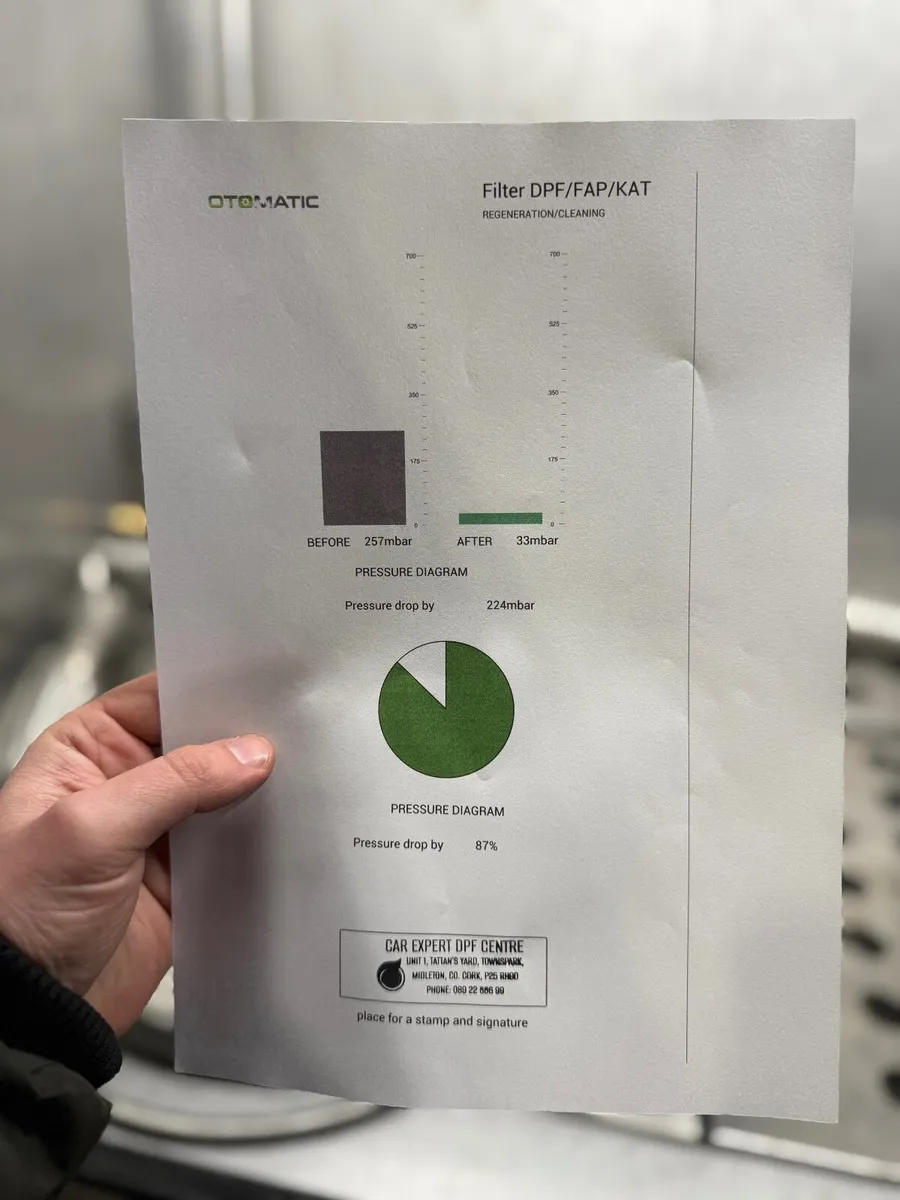 Professional DPF cleaning - Image 4