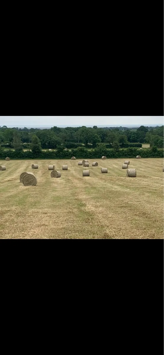 Welger round baler - Image 3