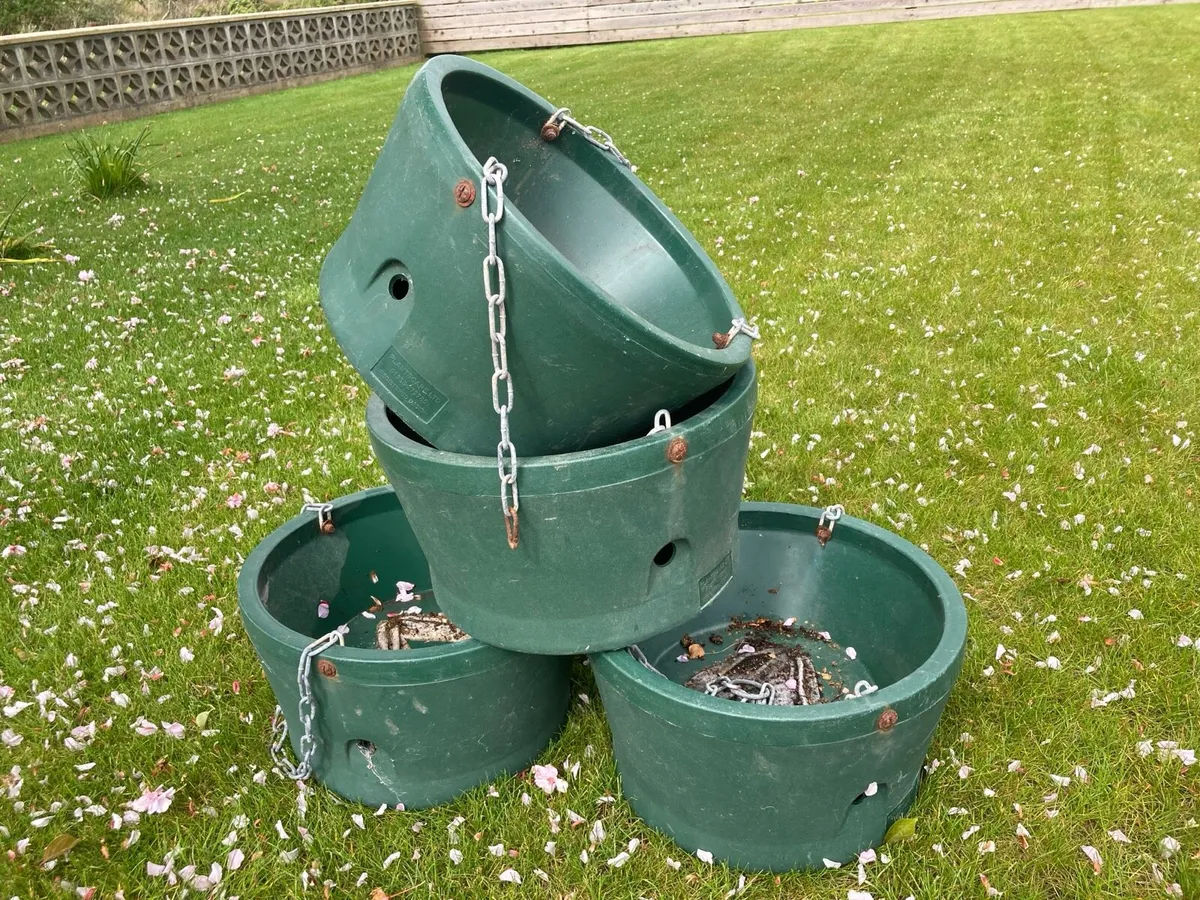 Self watering hanging baskets ( commercial) - Image 1