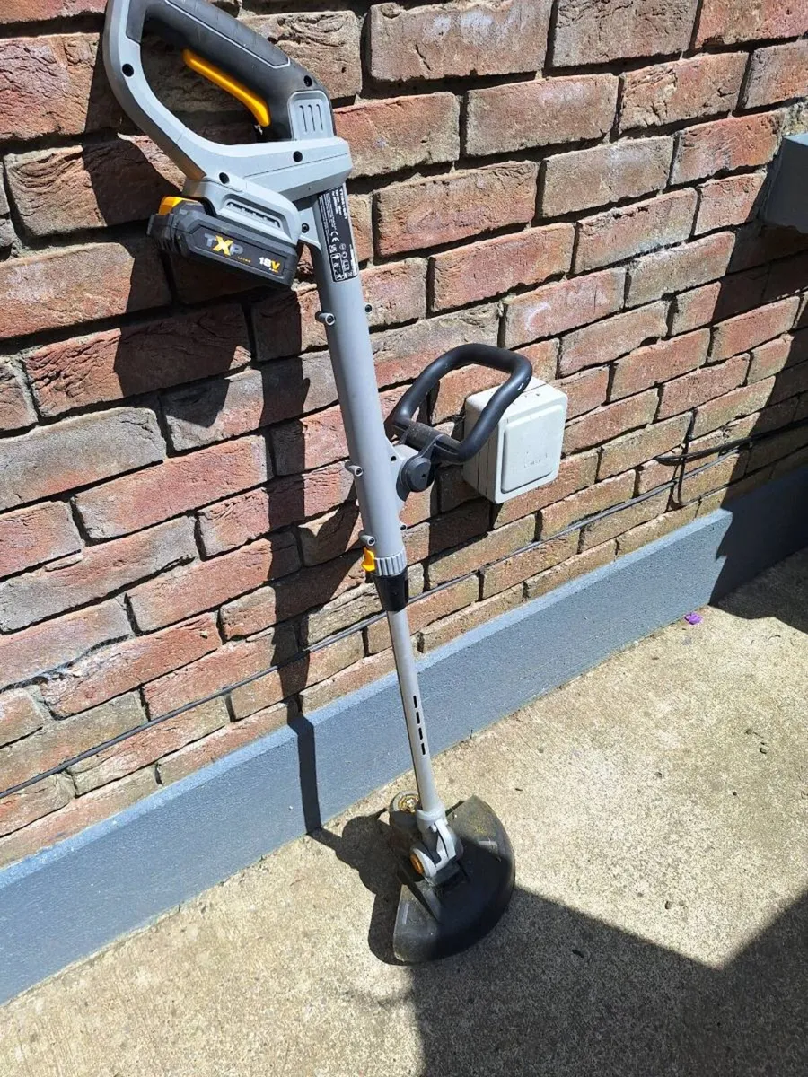 Lawnmower and strimmer - Image 1