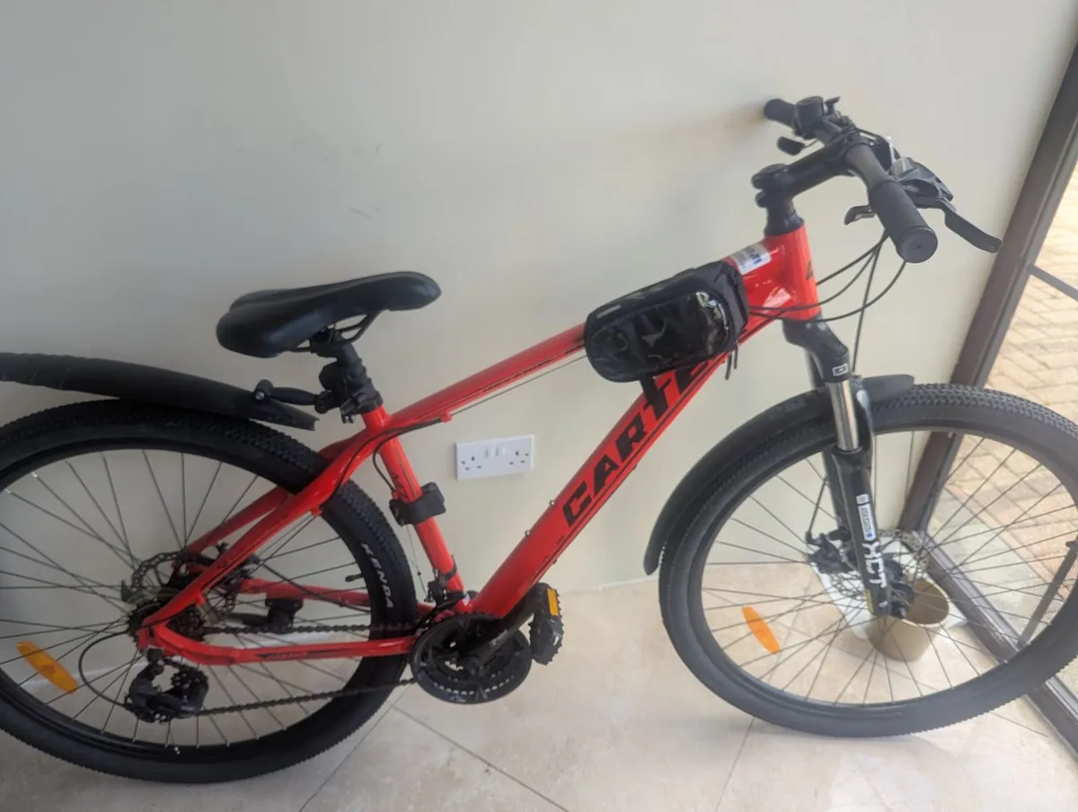 Ladies Carter Bike - Image 2