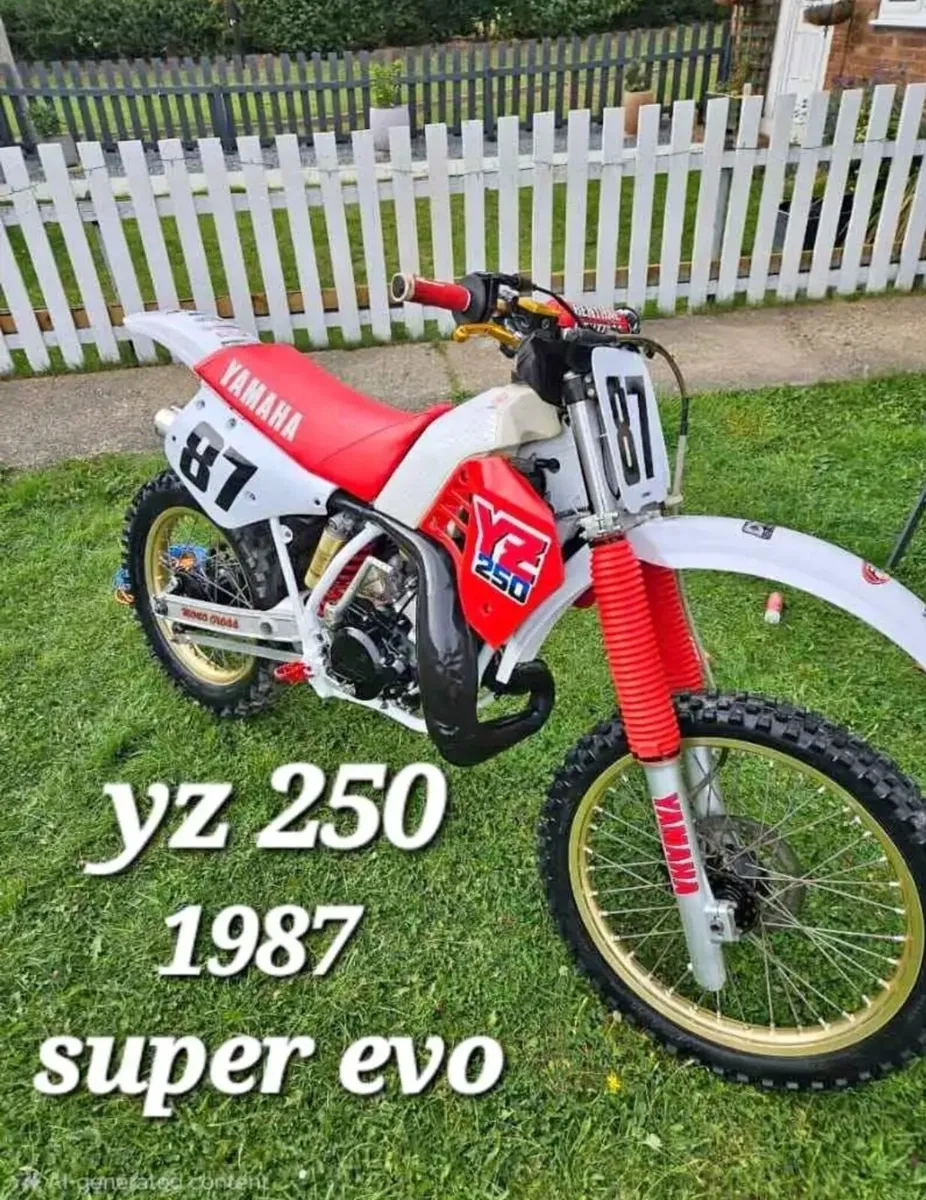 Yamaha yz250 evo - Image 1