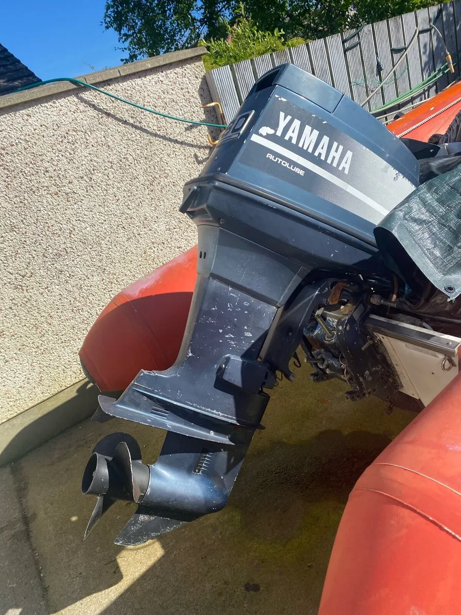 4.8 rib  no mgs - Image 3