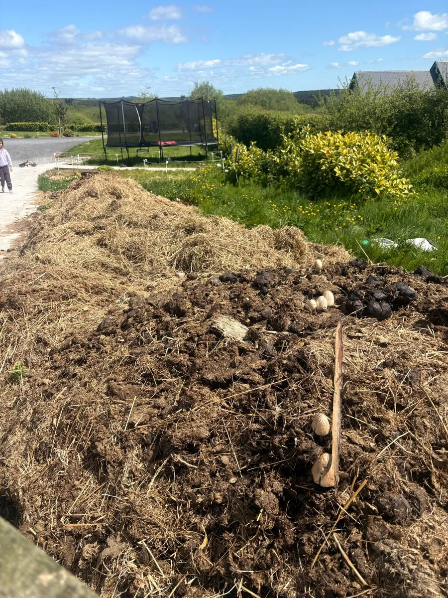 Horse manure - Image 1