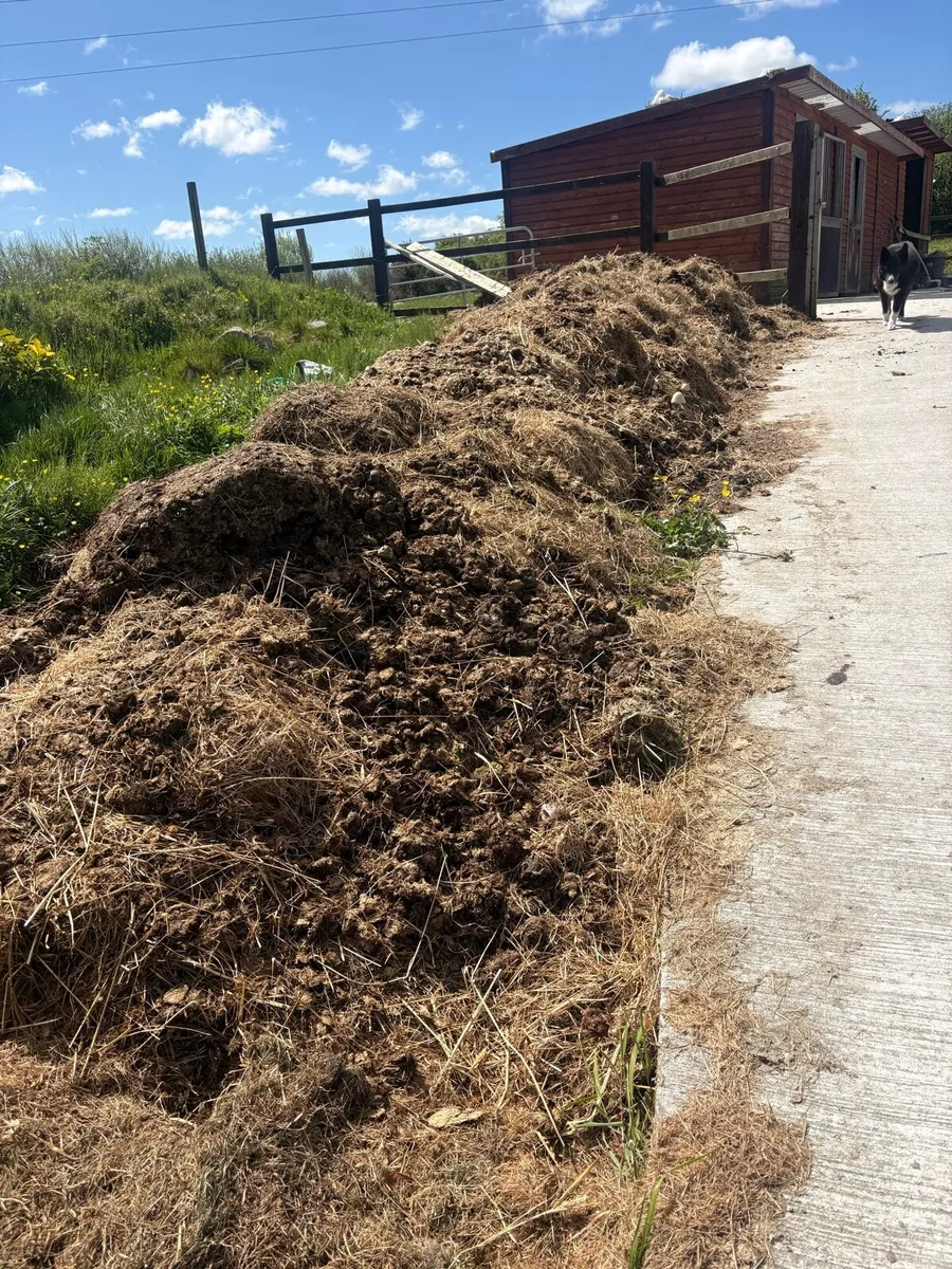 Horse manure - Image 2