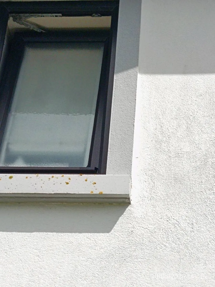 Windows for sale - Image 3