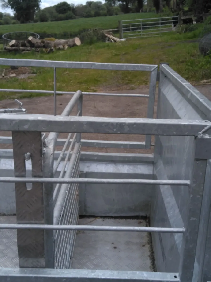 ATV QUAD TRAILER - Image 4