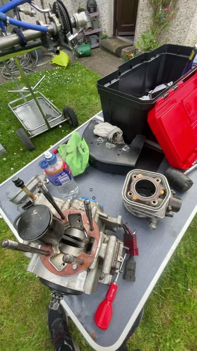 Iame x30 - Image 3