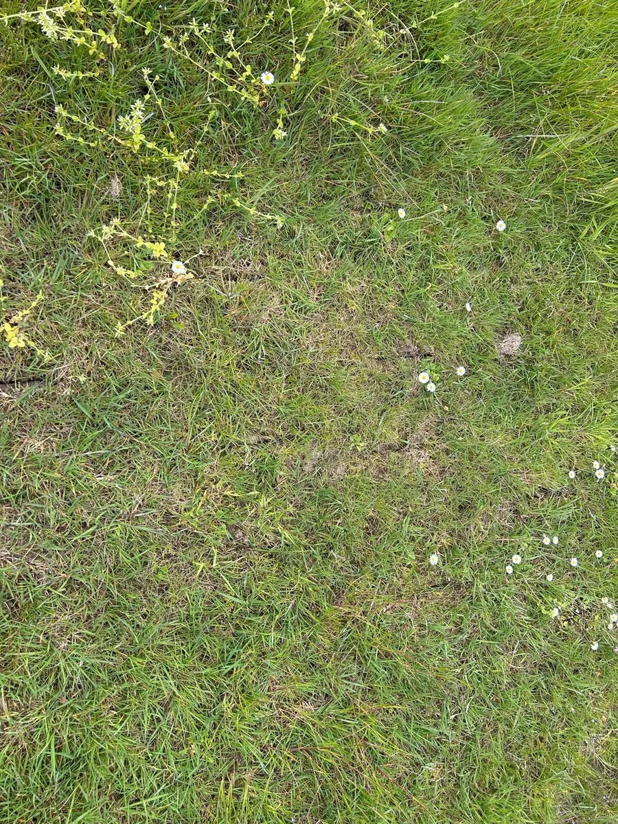Trailed Aerator - Image 2