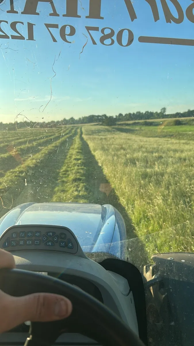 bales of silage - Image 2