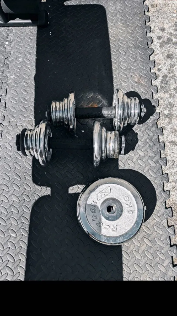 Home Gym Set – Bench + Barbell + Weights - Image 2