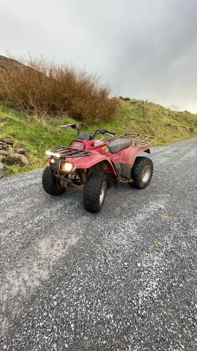 Kawasaki bayou 250cc - Image 4