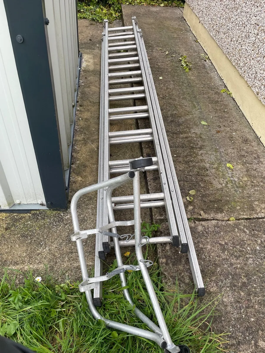 Ladder