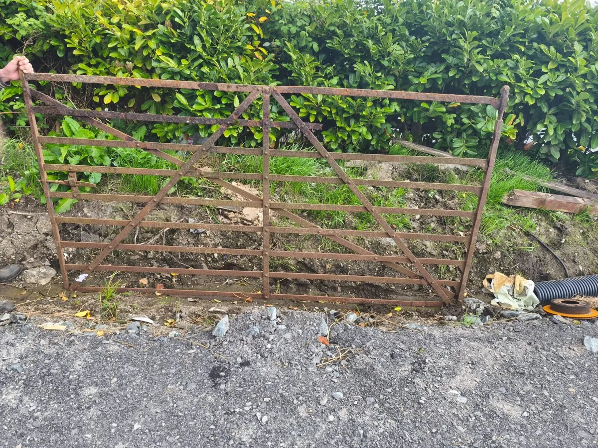 Old Wrought iron gates - Image 2