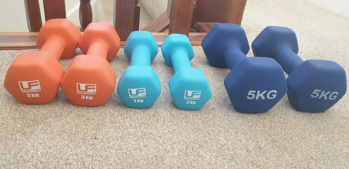gym weights - Image 1