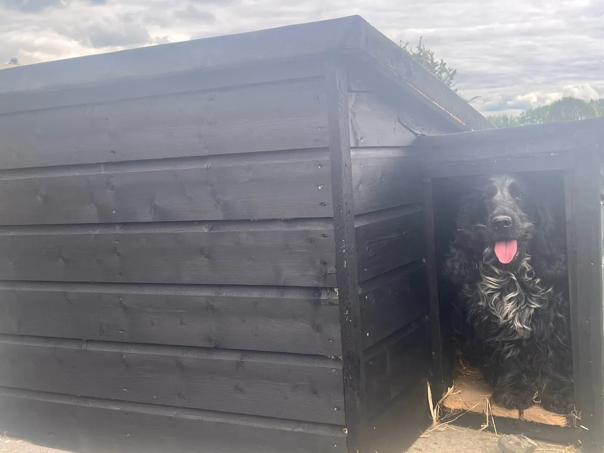 Dog kennel - Image 2
