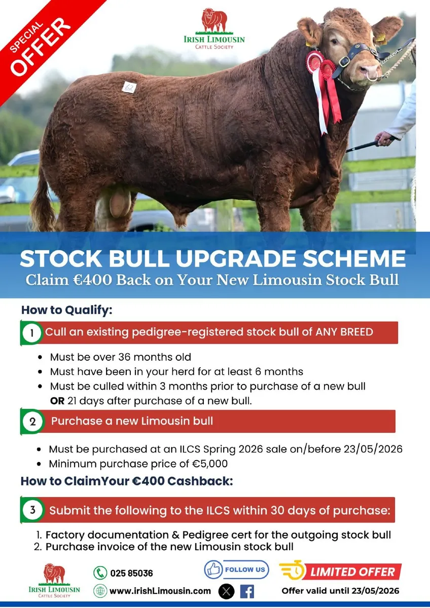 Final Limousin Society bull sale, Sat May 23 - Image 2
