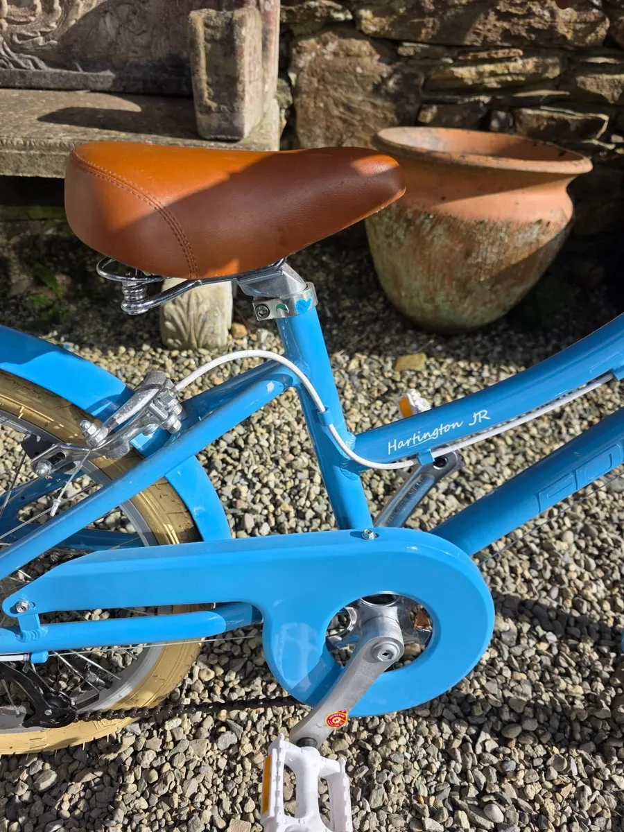 Frome Harington jnr 20 inch - Image 2