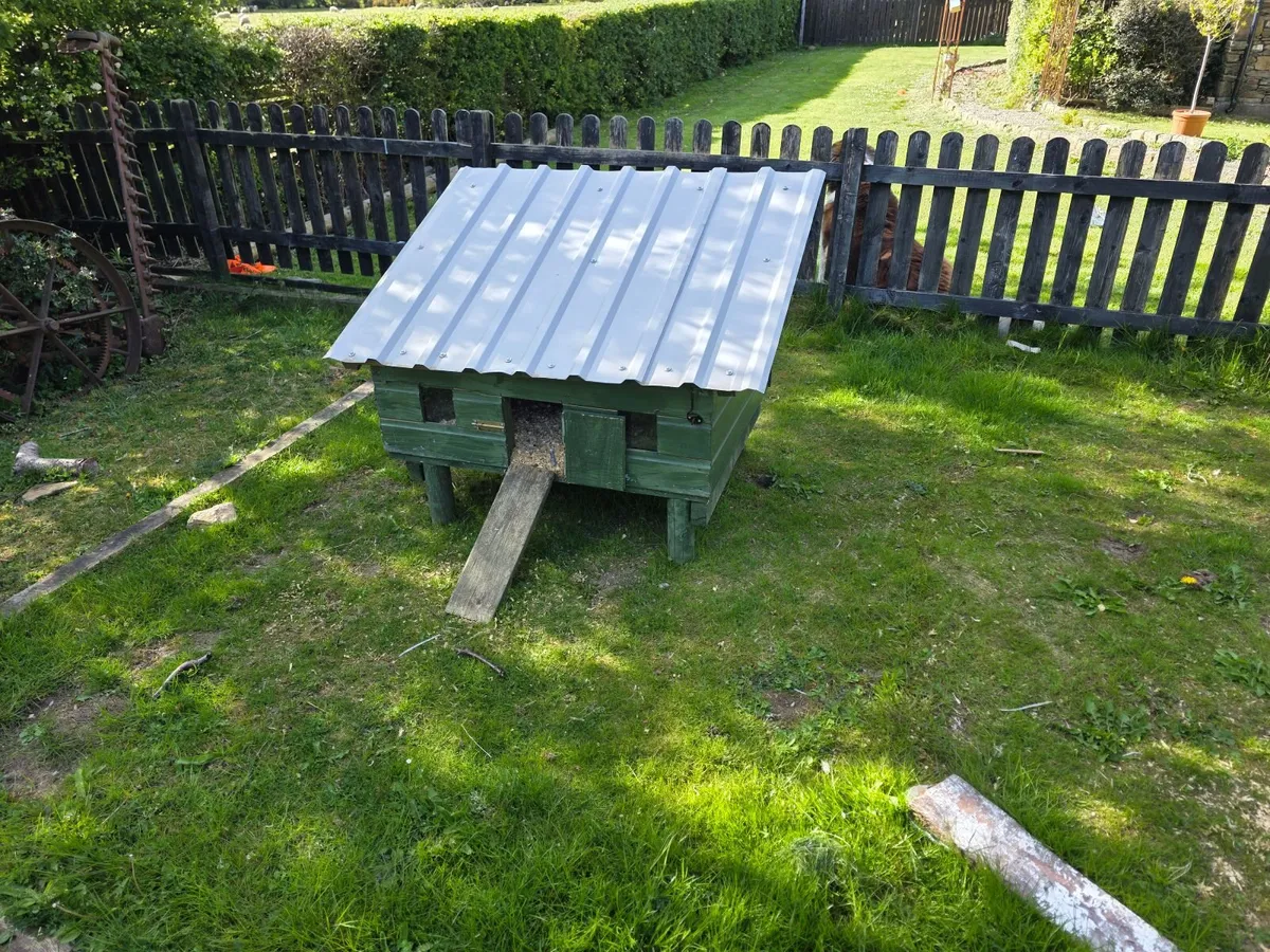 Rabbit/ Hen hutch and enclosure - Image 4