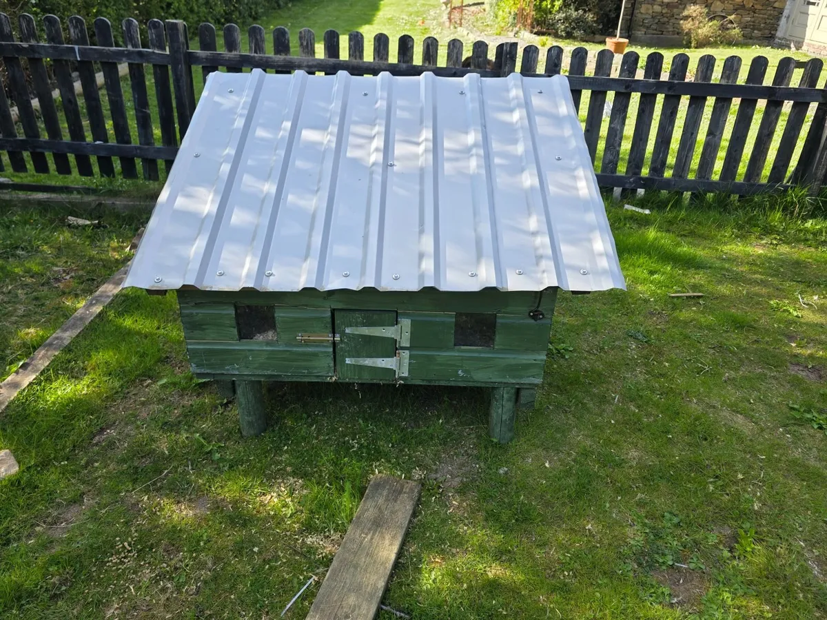 Rabbit/ Hen hutch and enclosure - Image 2
