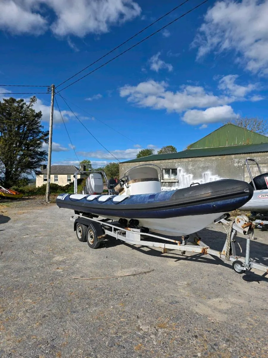 Rib - Image 1