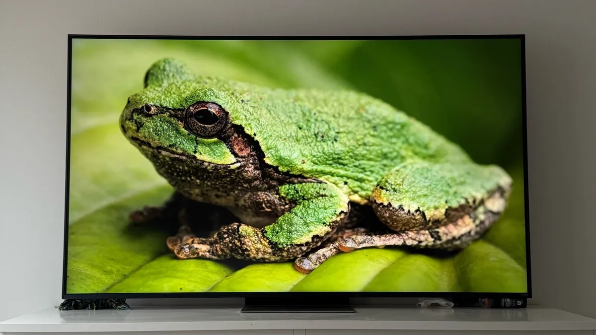 LG 65 inch 4K QNED -2024- 120hz - AI PRO - Image 3