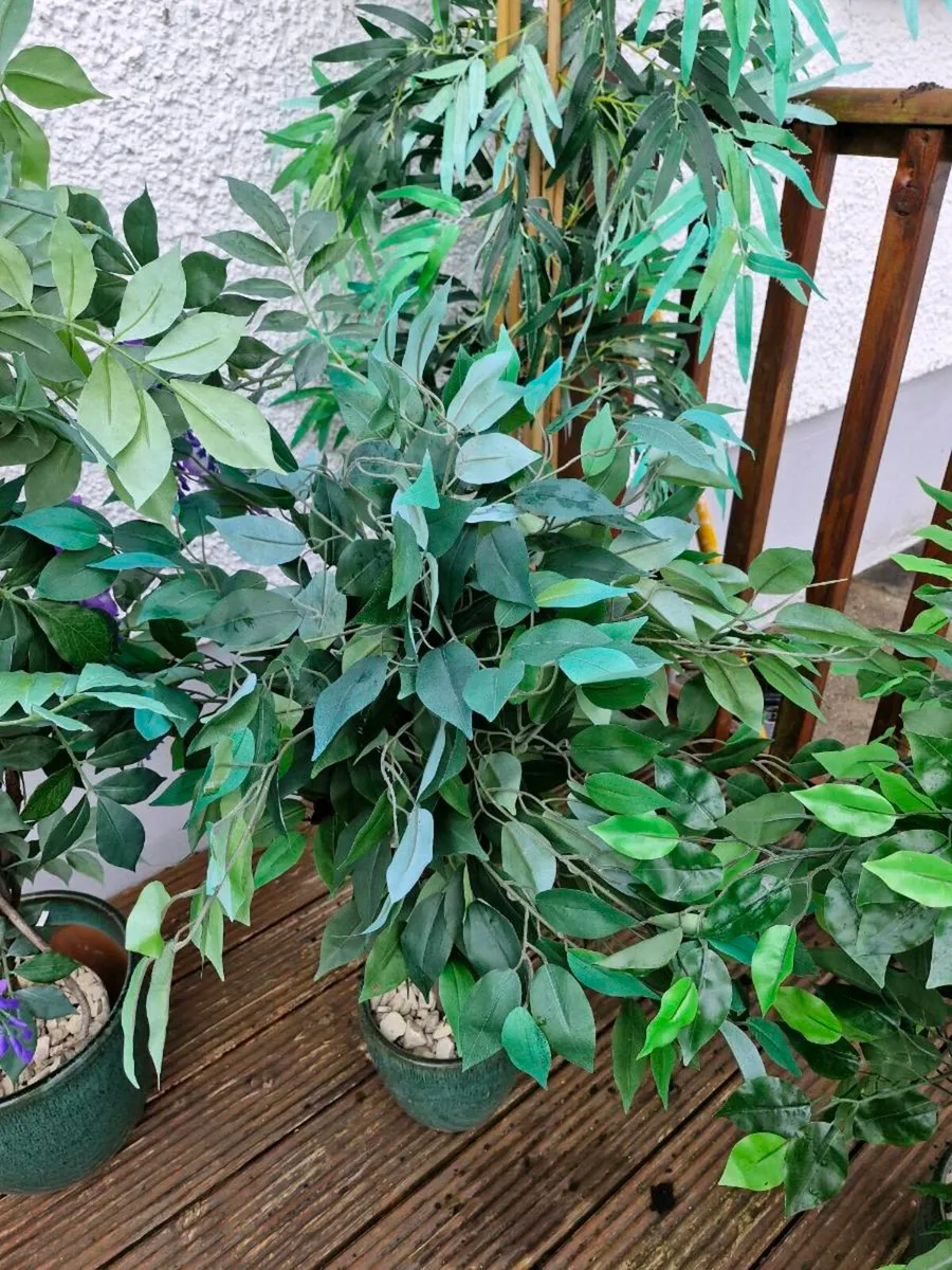 Artificial plants - Image 3