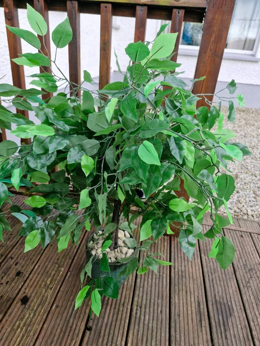 Artificial plants - Image 4