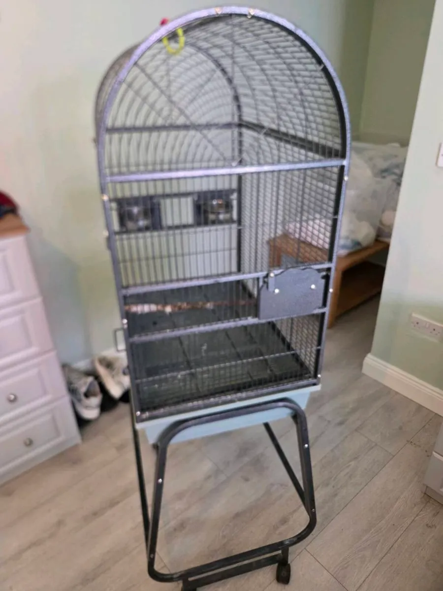 Bird cage - Image 1
