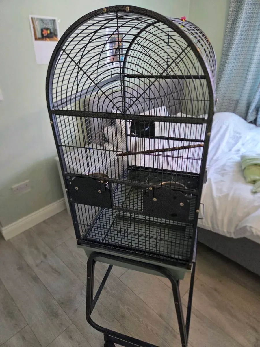 Bird cage - Image 2