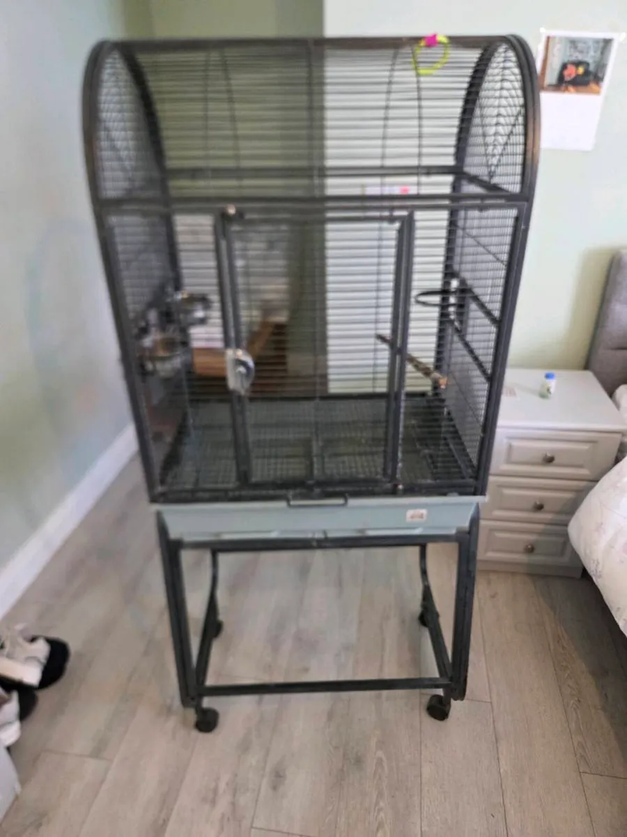 Bird cage - Image 3