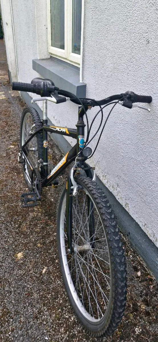 Bikes - Image 1