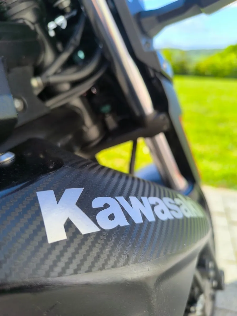 KAWASAKI ER6 650 2015 - Image 4