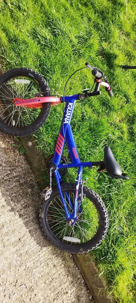 18" bikes - Image 1