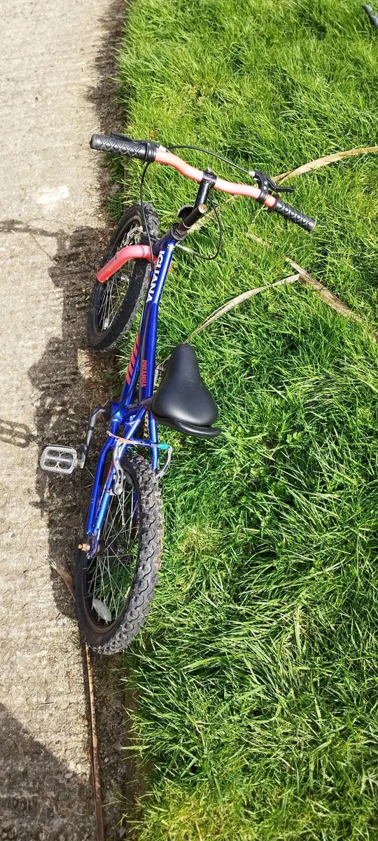 18" bikes - Image 2