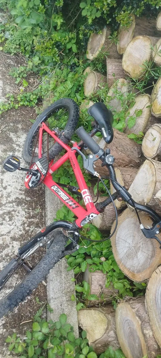 18" bikes - Image 3