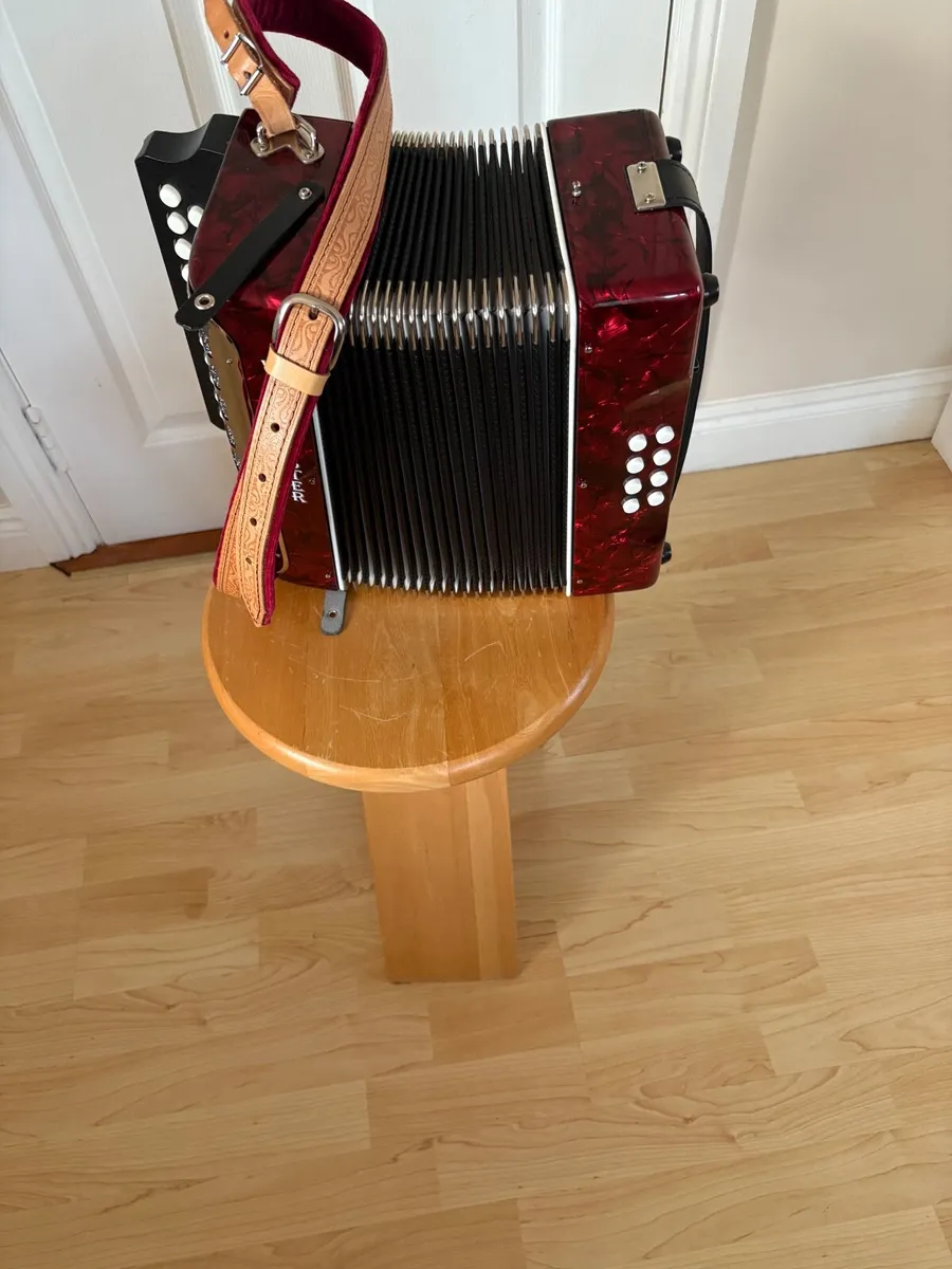 Button Accordion - Image 2