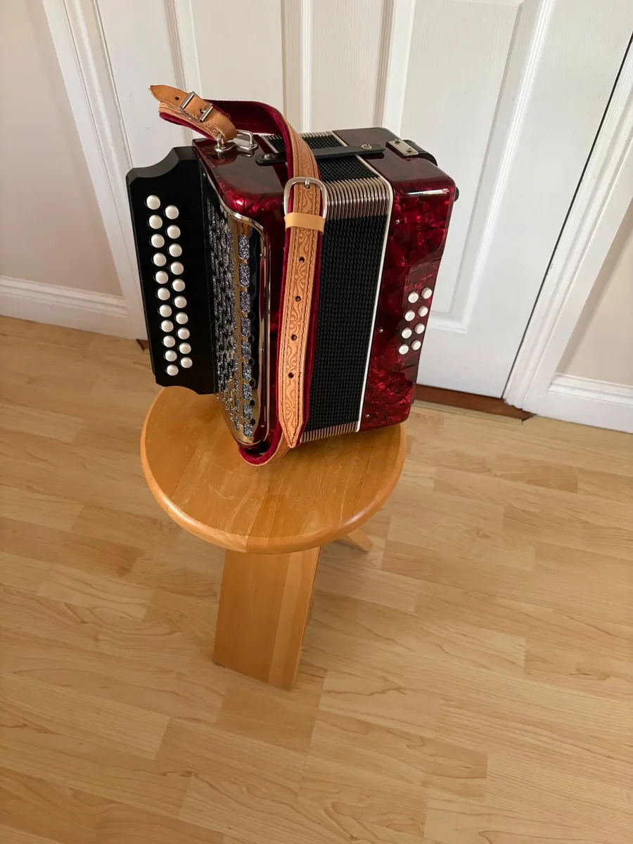Button Accordion - Image 3