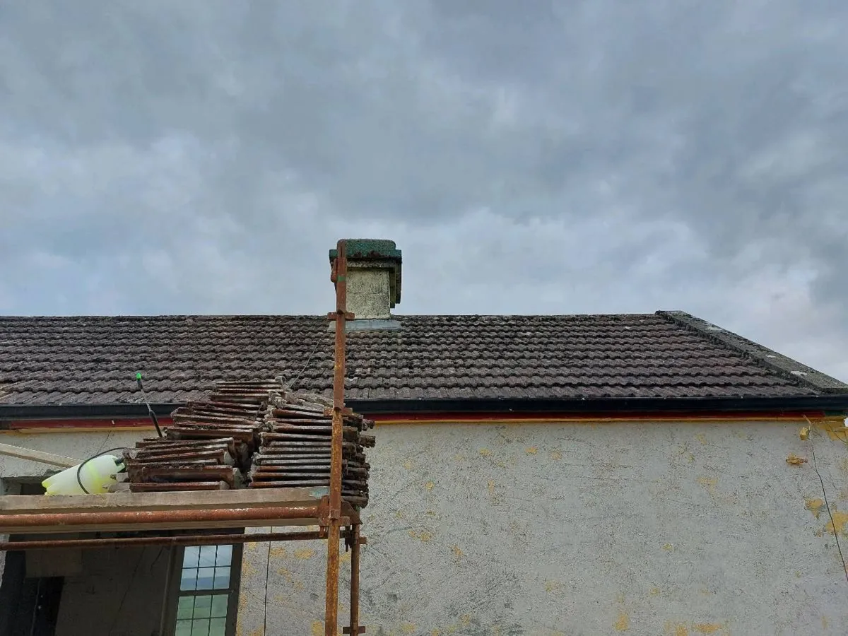 Roof tiles - Image 1