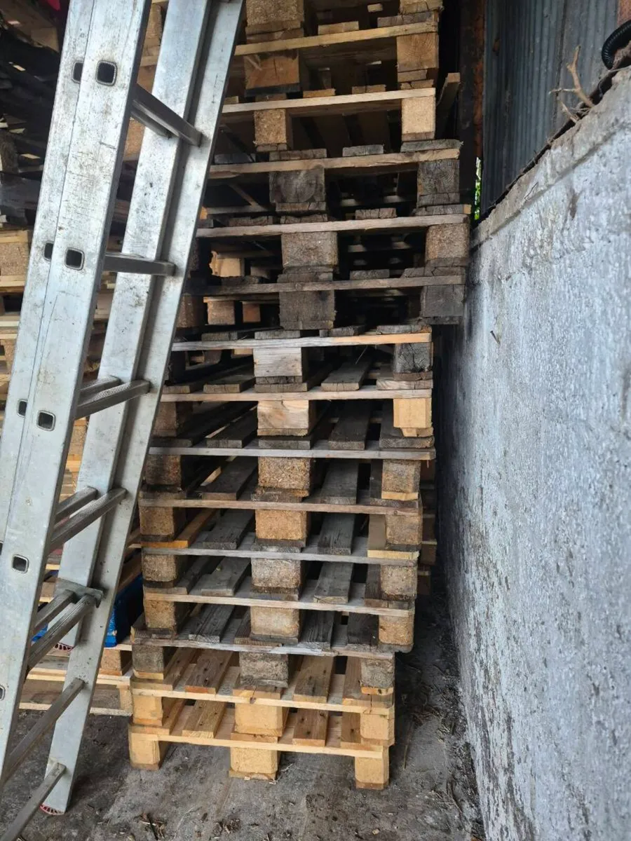 Euro pallets - Image 2