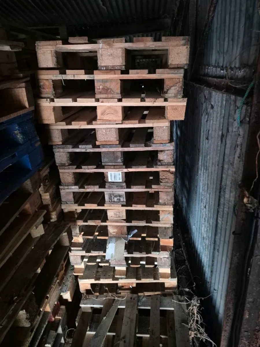Euro pallets - Image 4