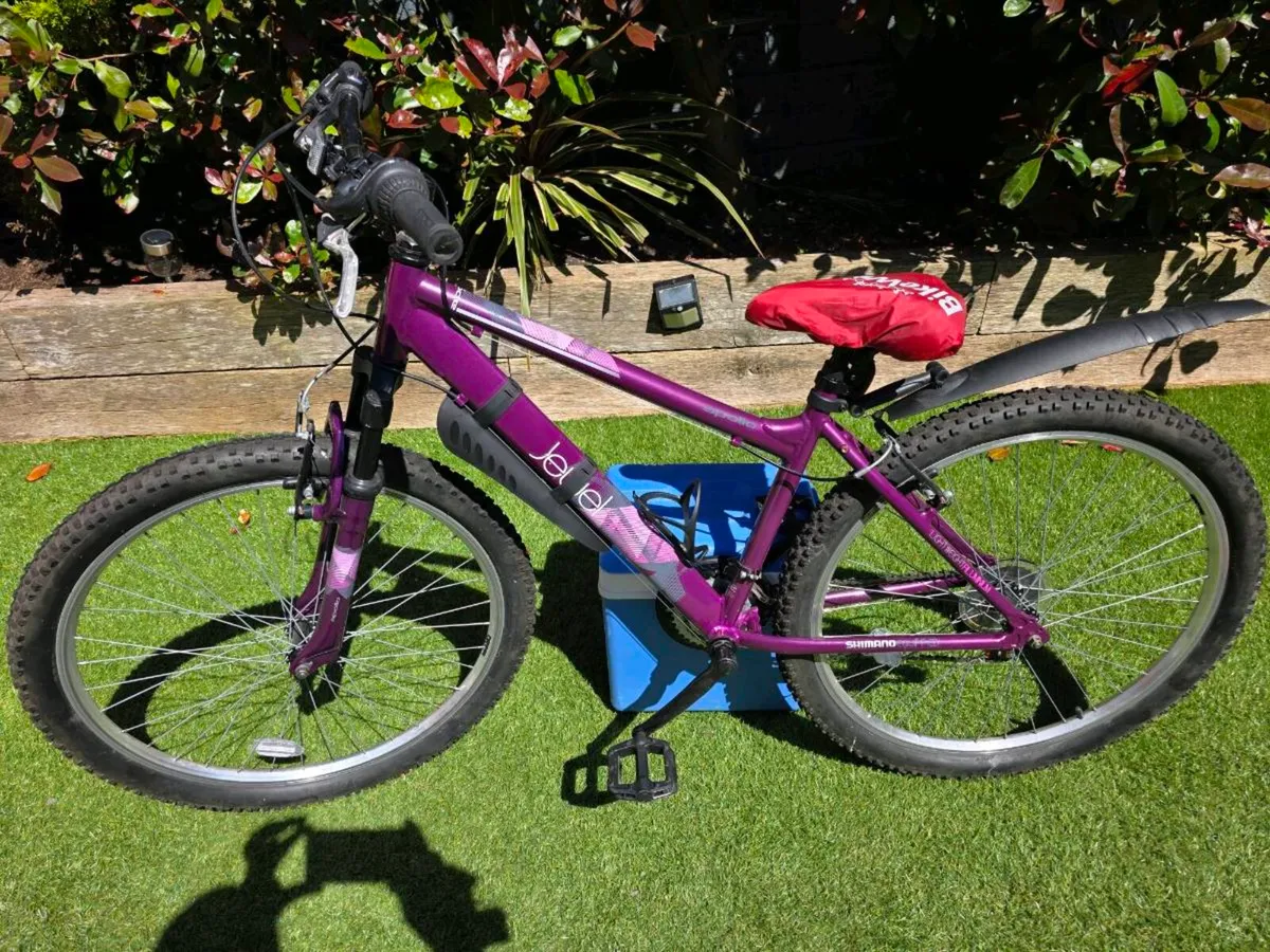 bicycles - Image 4