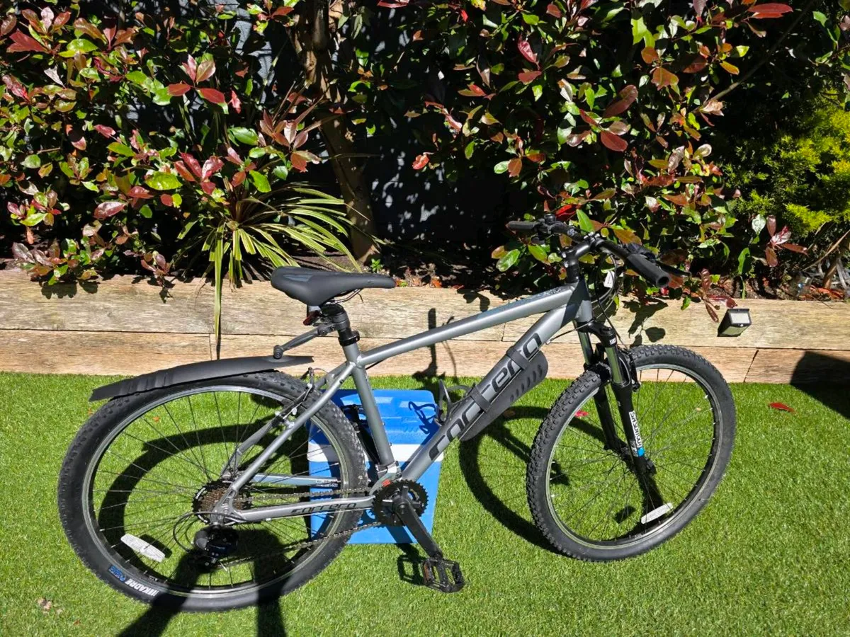 bicycles - Image 1