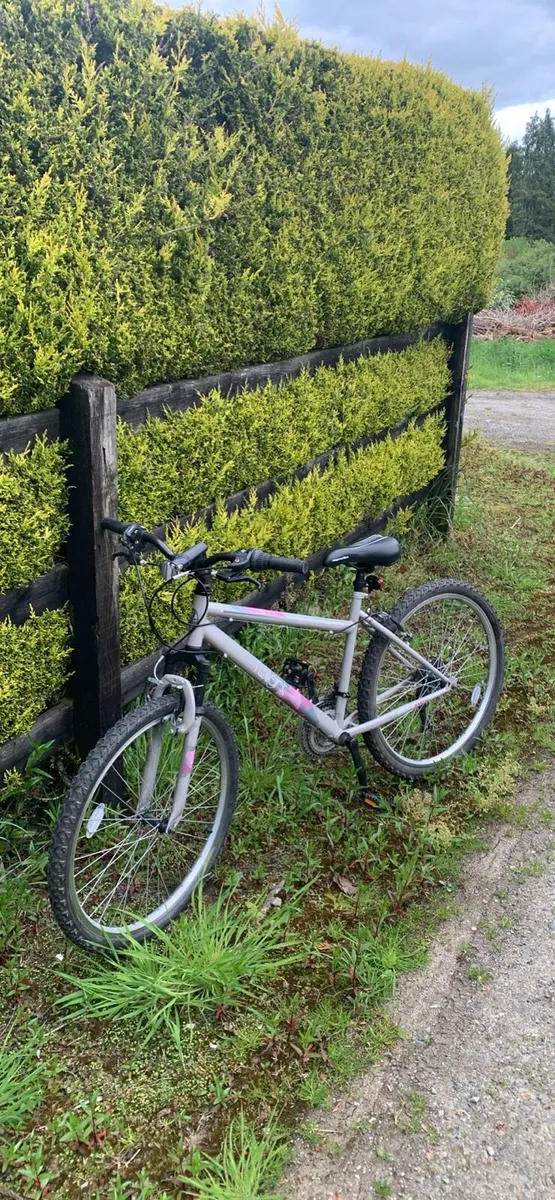 Kids mountain bike - Apollo twilight(read desc) - Image 1